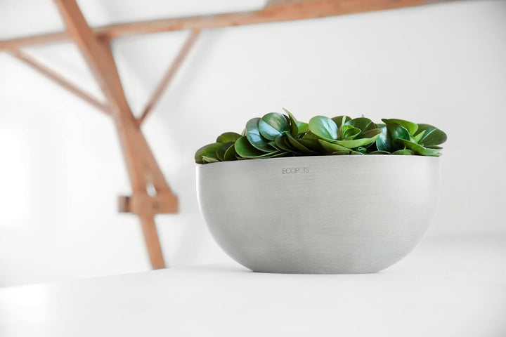 Ecopots Pflanzschale Sofia Dunkel Hell Grau - 30 x 13 cm oval gross - Pflanzentopf aus Recycling Kun