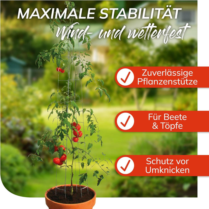 bellissa – Tomaten Rankhilfe aus Stahl 180cm 6er Set verzinkt – Tomatenturm Rankgitter für Tomaten,