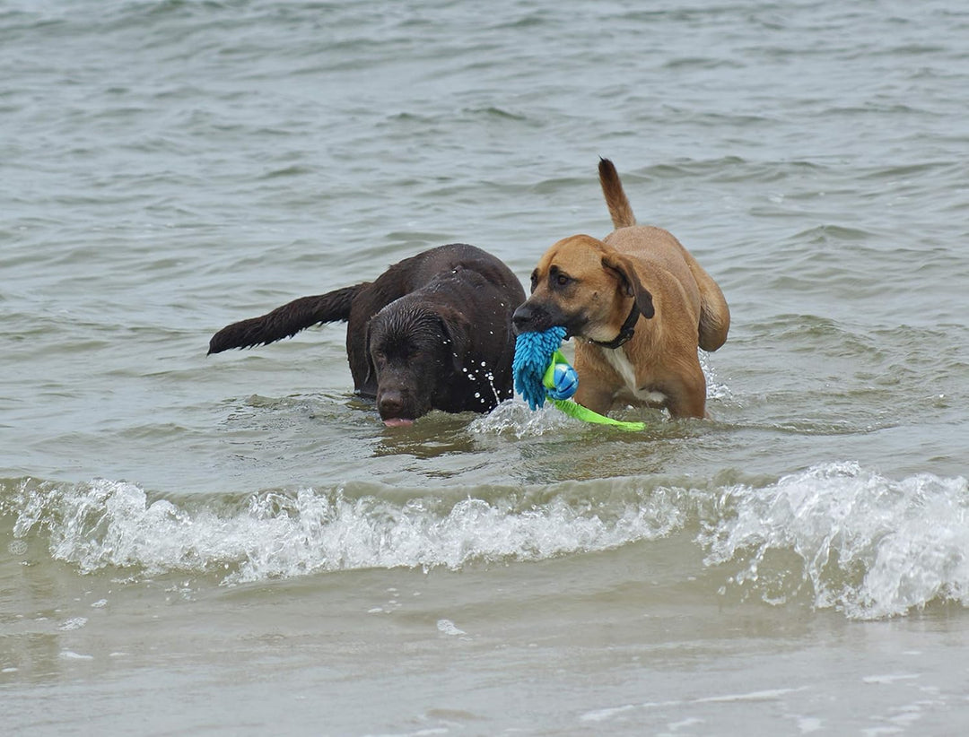 Dingo Mop Bungee Orange Mikrofaser mit Vanille Duft Ball Hundespielzeug Agility Apporte zum Spielen