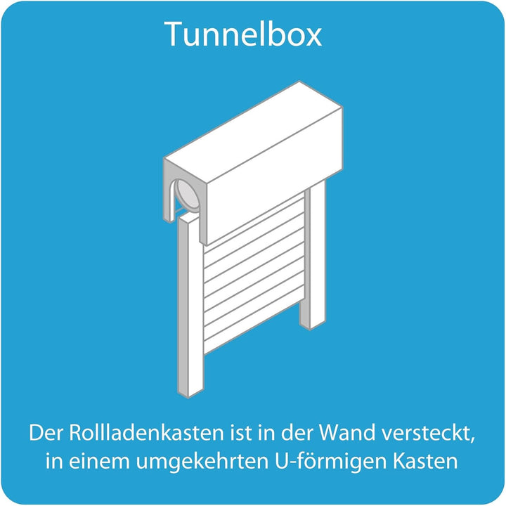 Somfy 2400670 - MS 100 | Verdrahteter Motorisierungssatz für traditionelle Rollläden | 10 Nm, MS 100