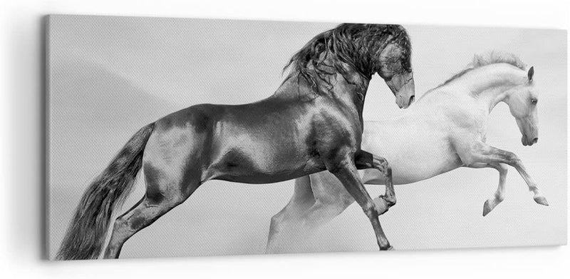 Wandbilder Dekoration Wohnzimmer Pferde Tiere Galopp Wiese Panorama Bilder auf Leinwand 120x50cm Lei