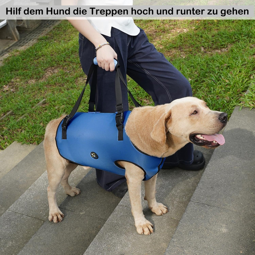 Coodeo Hundegeschirr, Hebegurt für Haustiere, Unterstützung und Rehabilitation, verstellbare, gepols
