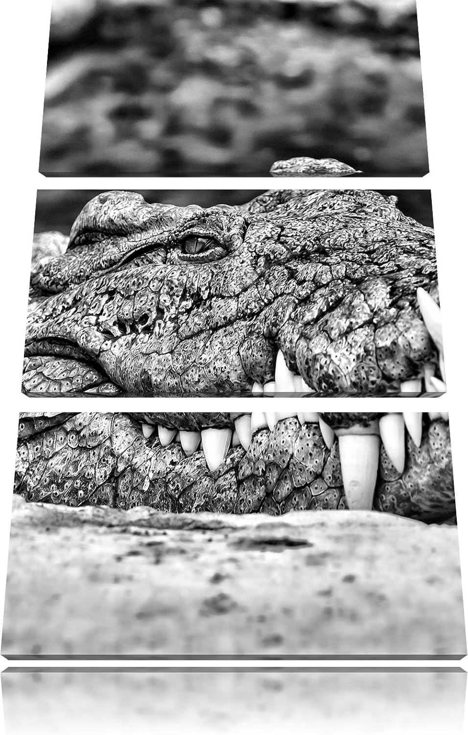 Pixxprint gigantisches Krokodil als Leinwandbild/Grösse: 3 Teilig (120x80) cm/Wandbild/Kunstdruck/fe
