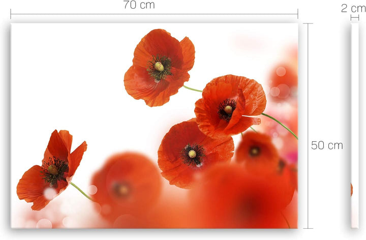 ge Bildet Bild auf Leinwand | Mohn in 70x50 cm als Wandbild | Wand-deko Dekoration Wohnung modern Bi