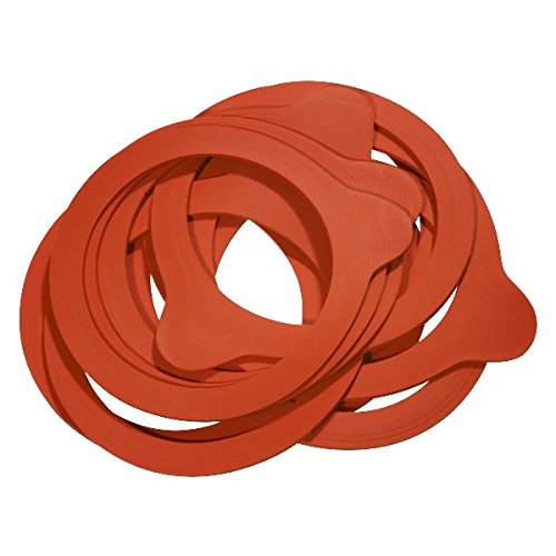 200 x WECK-Gummiring RR100