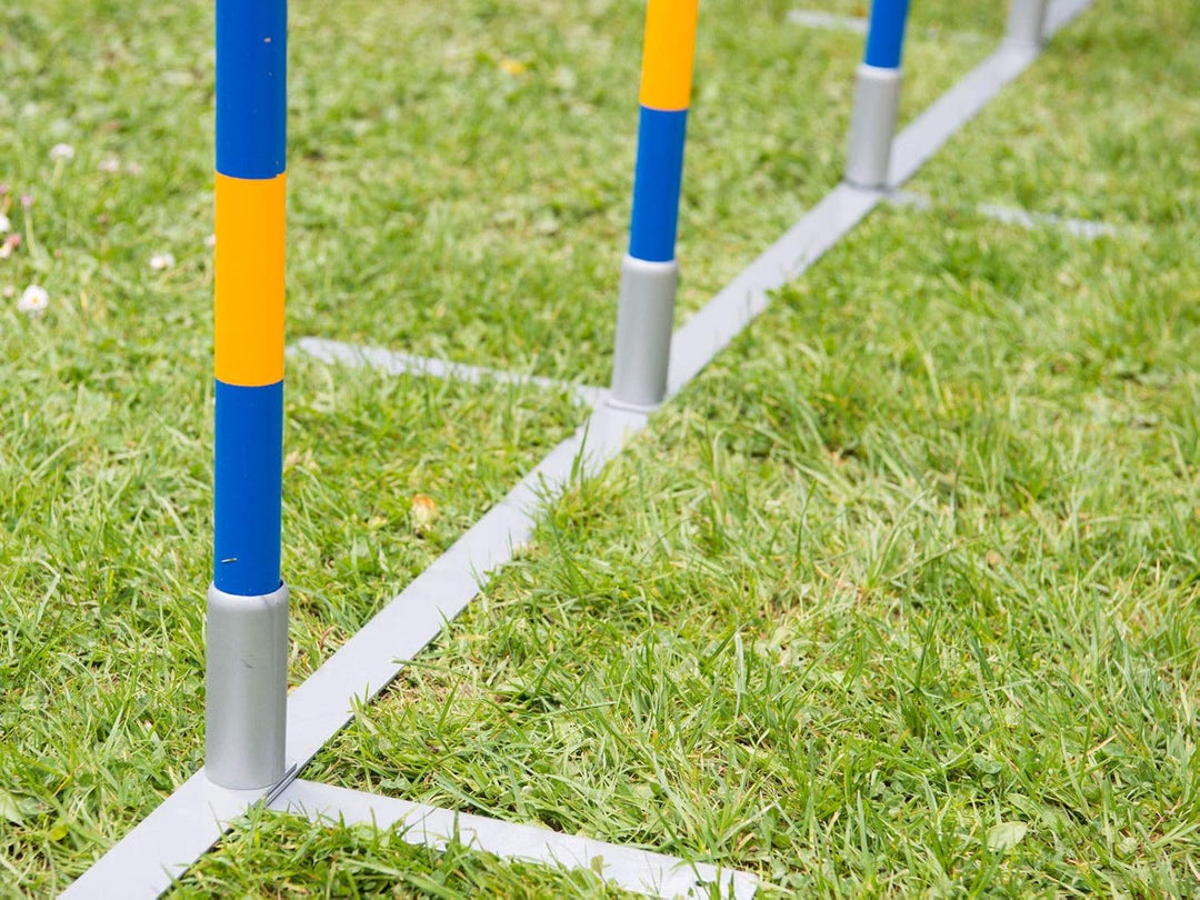 PROCYON Hunde Agility Profi-Slalom Set Doggy