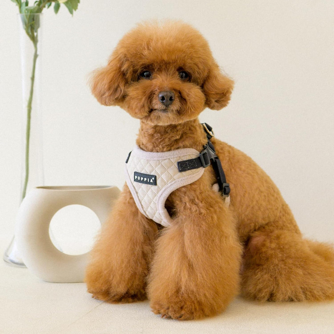 Puppia Irvin Komfort-Hundegeschirr, Warm, Winter, Rautenmuster, Verstellbarer Hals und Brust für kle
