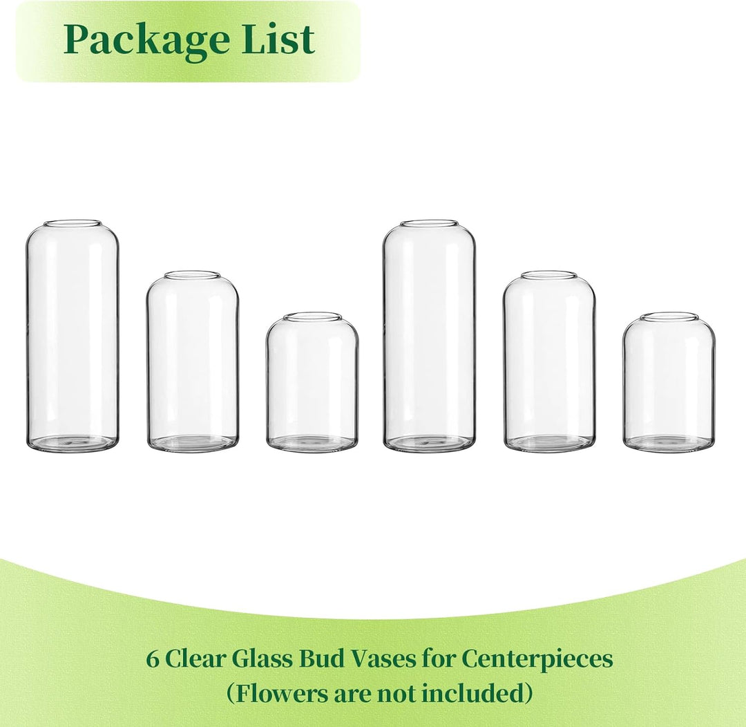 Hewory Kleine Vasen für Tischdeko: 6er Set Klar Vasen Deko Glaszylinder Vase Glas, Klein Glasvase Ru