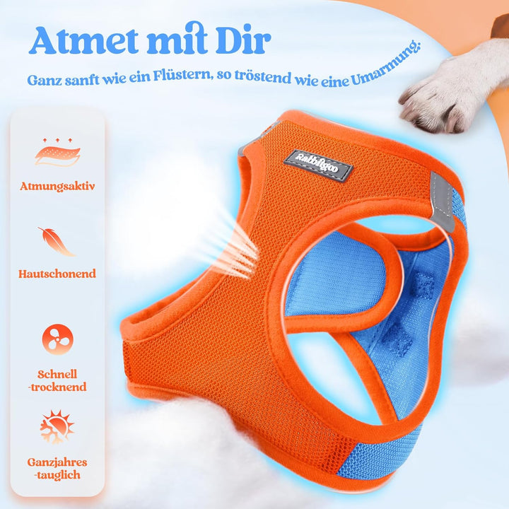 rabbitgoo Hundegeschirr Kleine Hunde mit Leine, Step-in Welpengeschirr Weich Mesh für Spaziergänge,