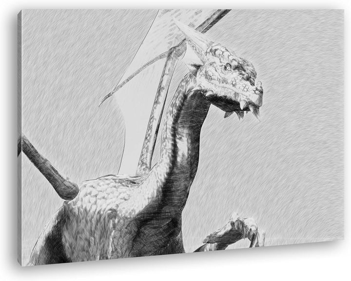 deyoli freundlicher Drache Format: 80x60 Effekt: Schwarz/Weiss als Leinwand, Motiv fertig gerahmt au