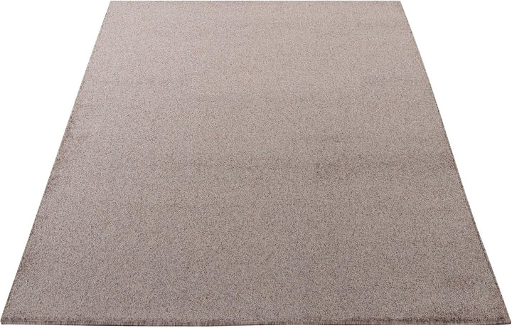 Carpetsale24 Teppich Wohnzimmer Dichter Kurzflor Einfarbig Teppich Modern Robust Rechteckig und Rund
