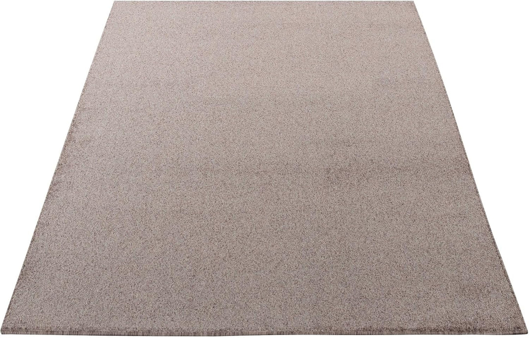 Carpetsale24 Teppich 200x290 cm Beige, Kurzflor, Einfarbig, Modern, Rechteckig, Pflegeleicht, rutsch