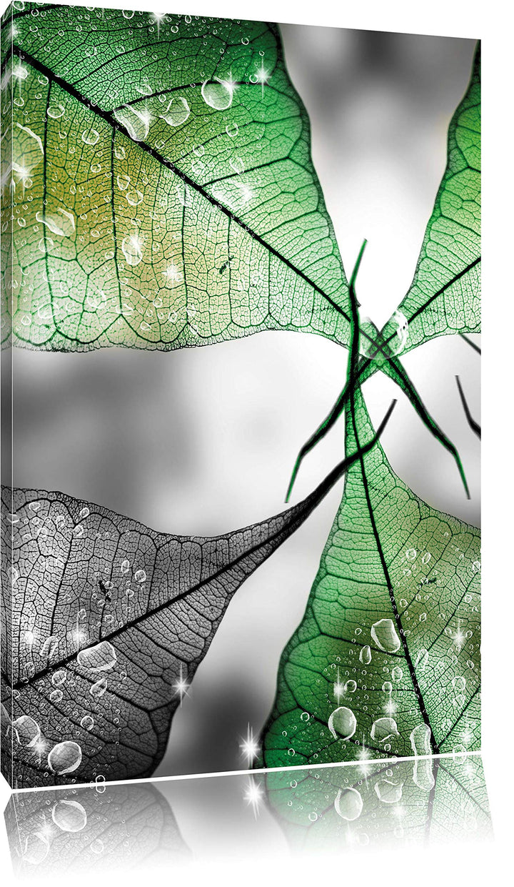Pixxprint grüne Blätter mit Wassertropfen als Leinwandbild/Grösse: 100x70 cm/Wandbild/Kunstdruck/fer