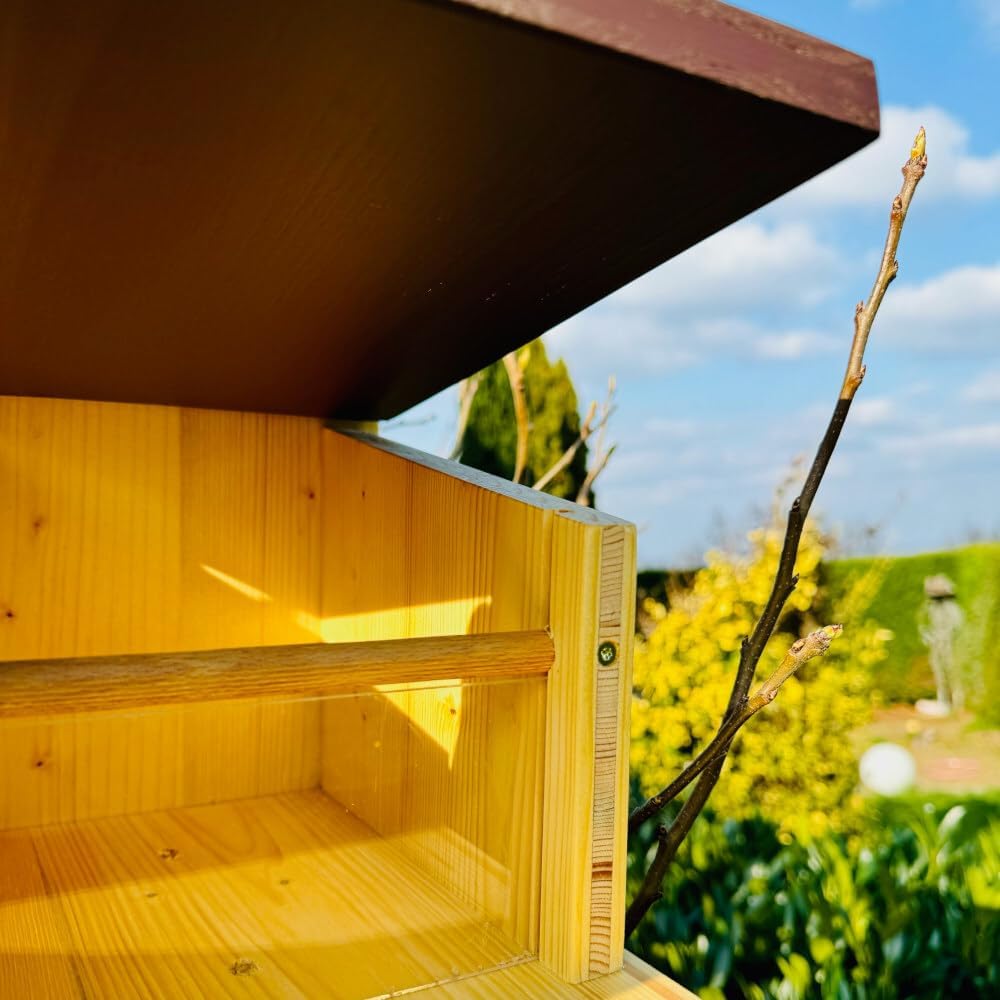 DARLUX Stabiles Eichhörnchen Futterstation I Wetterfest I verschraubtes Massivholz I Futterhaus Mass