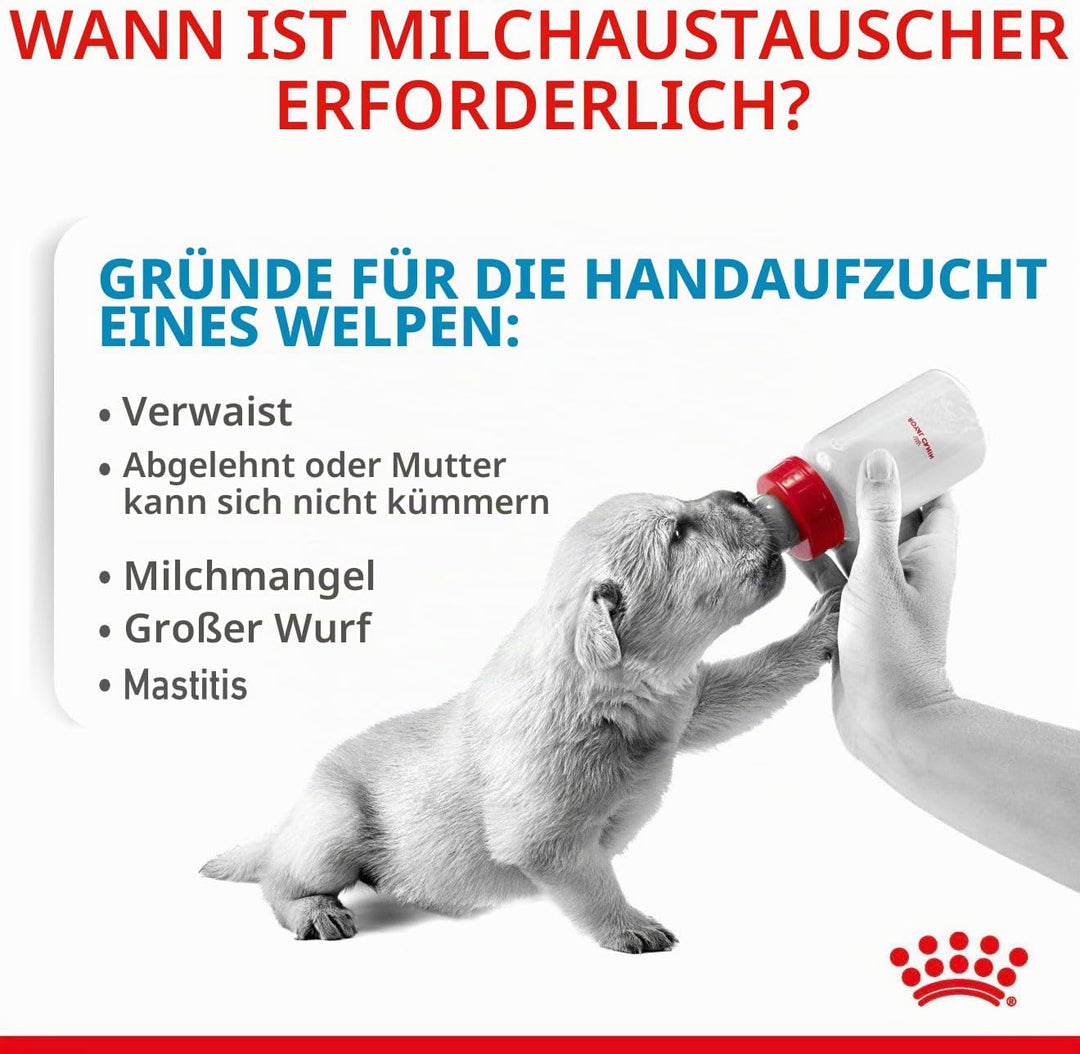 Royal Canin Babydog Milk | 2000 g | Welpen Milch in Pulverform | Zur Unterstützung des Verdauungssys