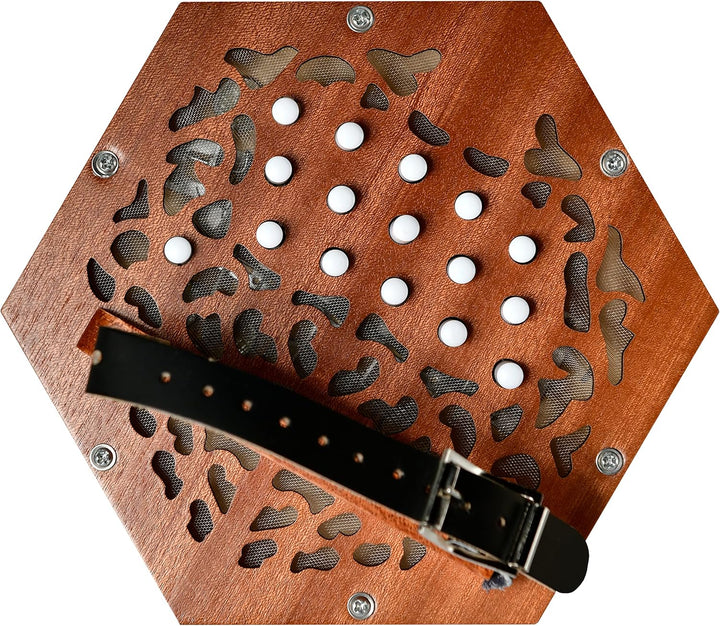 Trinity College Neu AP-1230A Anglo-Stil Ziehharmonika walnuss, walnuss