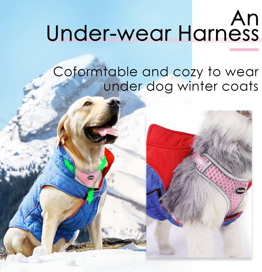 ThinkPet No-Pull Hundegeschirr Leine Set, Atmungsaktiv Brustgeschirr für Kleine Mittlere Grosse Hund