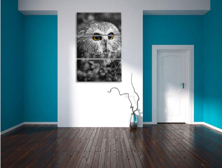 Pixxprint junger Kauz im Vogelbeerstrauch schwarz/weiss 3-Teiler Leinwandbild 120x80 Bild auf Leinwa