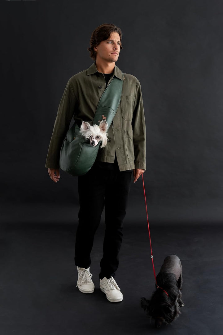 Noah &amp; Paw Hundetragetasche für Kleine Hunde bis 10kg, Hundetasche mit Verstellbarem Schultergurt, u
