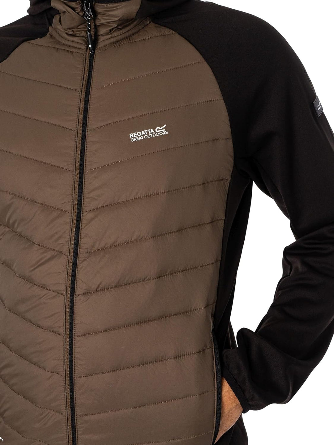 Regatta Andreson VIII Hybrid Herren-Jacke S Krokodil/Schwarz, S Krokodil/Schwarz