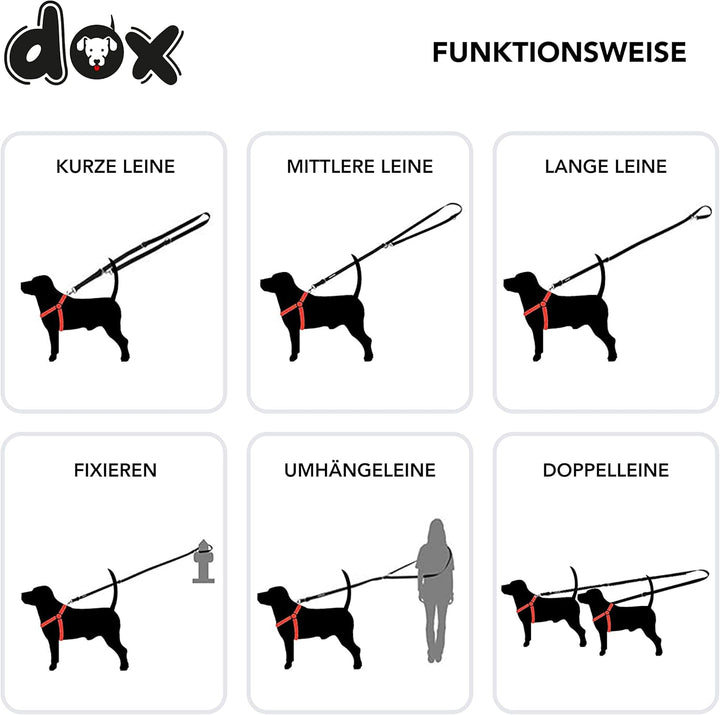 DDOXX Reflektierende Nylon Hundeleine - 2m, 3fach verstellbare Hundeleine für alle Hundegrössen - M
