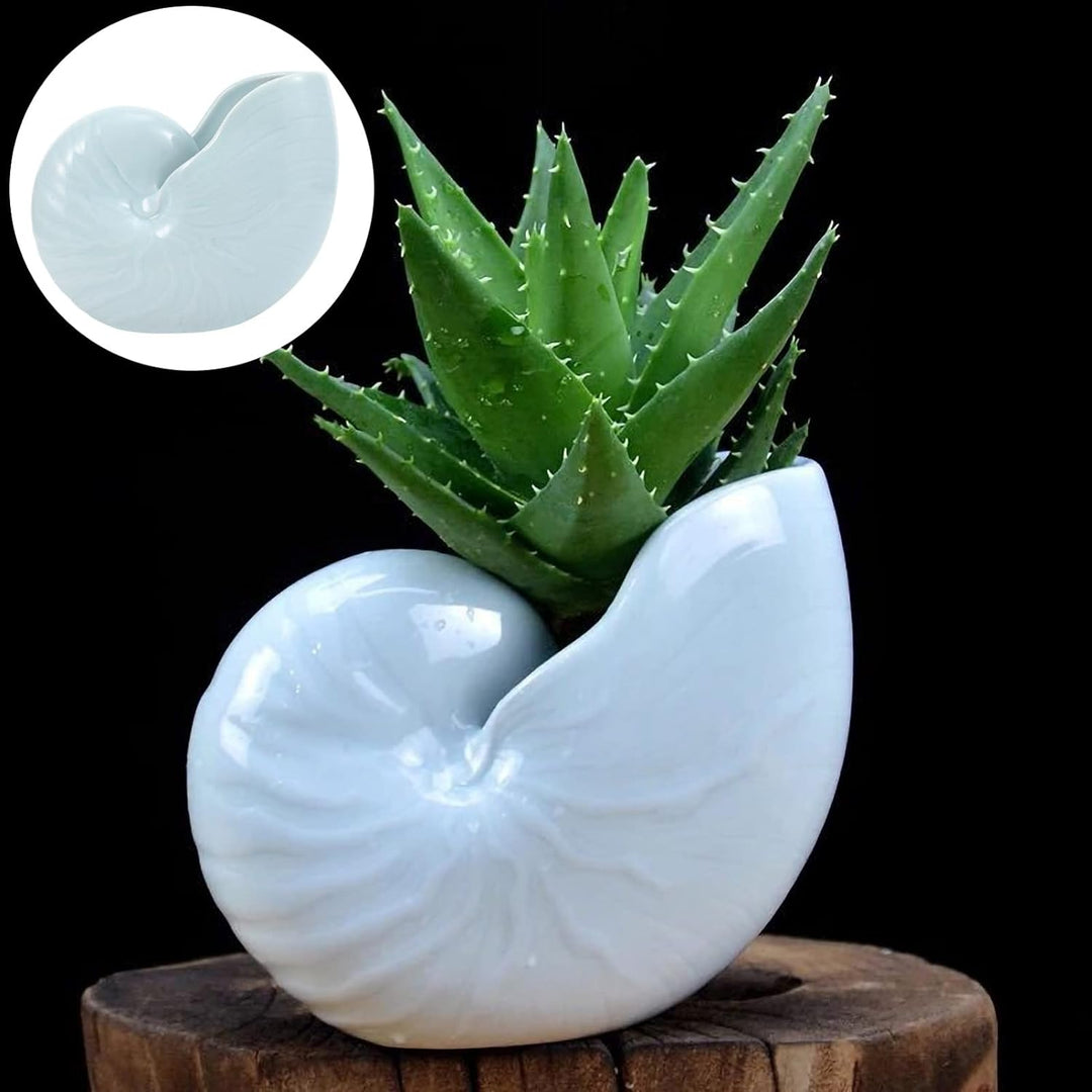 BESPORTBLE Keramik Sukkulenten Blumentopf Muschel Deko: Statue Kaktus Topf Kleiner Übertopf Balkon P