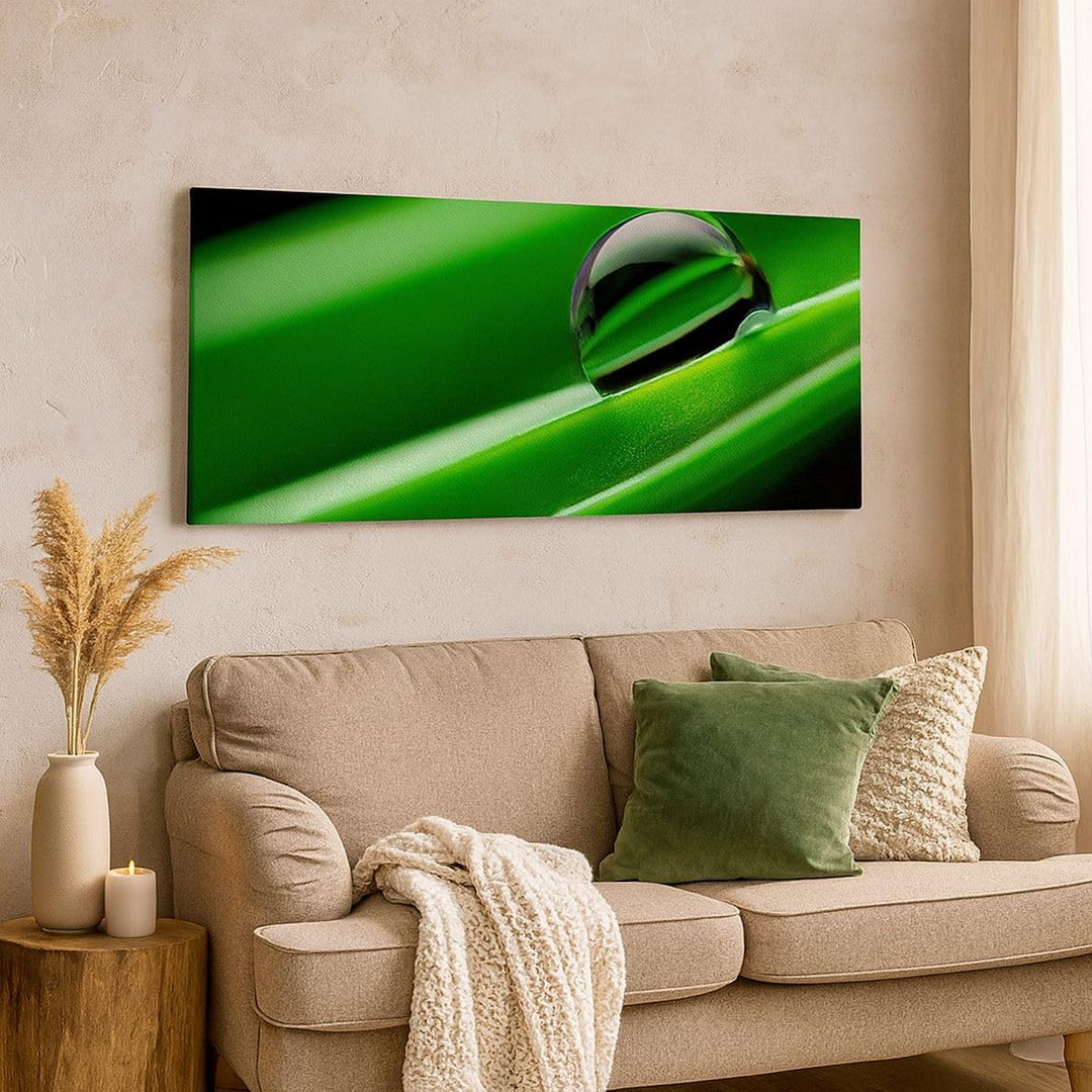 Panorama Bilder auf Leinwand 100x40cm Leinwandbild Pflanze Tropfen Wasser Blase Gross Wanddeko Bild