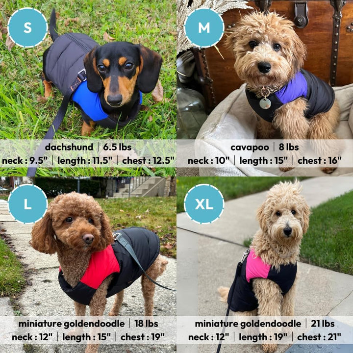 Gooby - Gepolsterte Weste, Hundejacke, Mantel, Pullover mit Reissverschluss und Leinen-Ring, blau, G