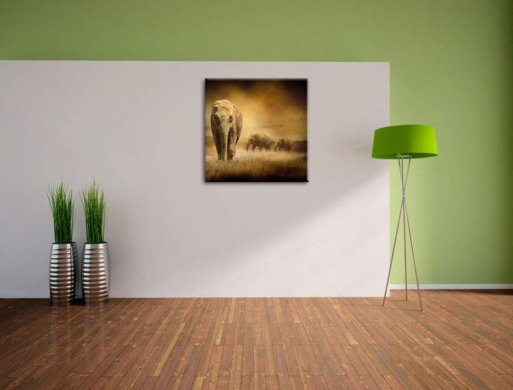Pixxprint Prächtiger Elefanten in Steppe, Format: 70x70 auf Leinwand, 70x70