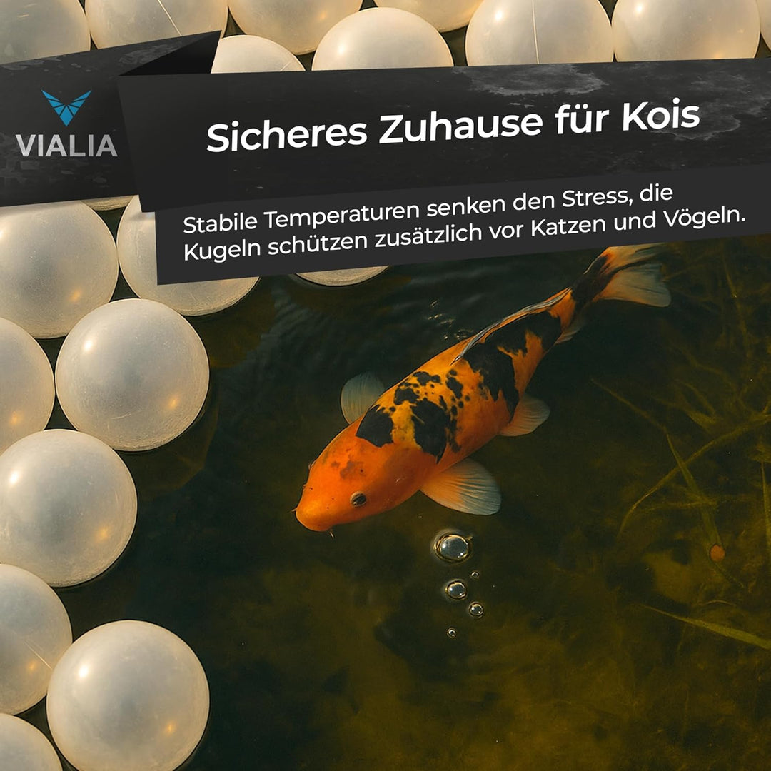 PE Bälle transparent Teichabdeckung | 650 Stück Ø 70 mm für 3 m² | Schwimmkugeln als Winterschutz ge