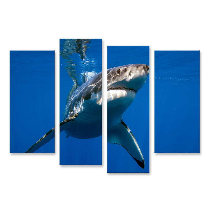 islandburner Bild auf Leinwand Weisser Hai Bilder Wandbilder Poster Leinwand 130x80cm - 4 Teile, Lei