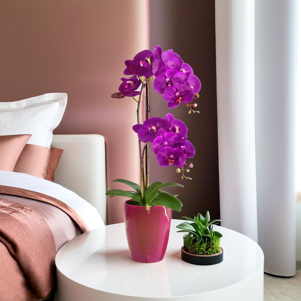 Santino 4er-Set Orchideentopf D 12cm Selbstbewässernder Topf mit Dochtsystem und Wasserstandsanzeige