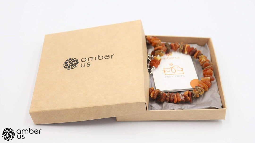 amber-us Bernsteinkette für Hunde aus Roh Baltischer Bernstein mit türkis verziert | Zeckenhalsband