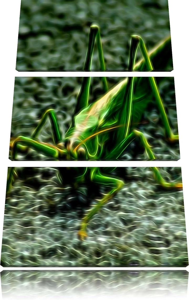 freche kleine Heuschrecke NewArt 3-Teiler Leinwandbild 120x80 Bild auf Leinwand, XXL riesige Bilder