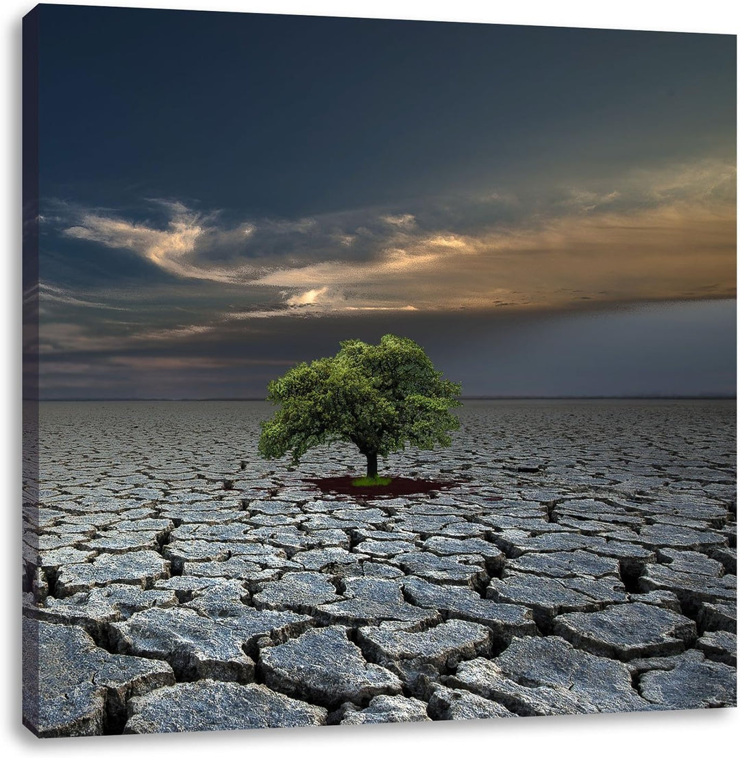 Pixxprint Der letzte Baum im ausgetrockneten Boden, Format: 70x70 auf Leinwand, 70x70