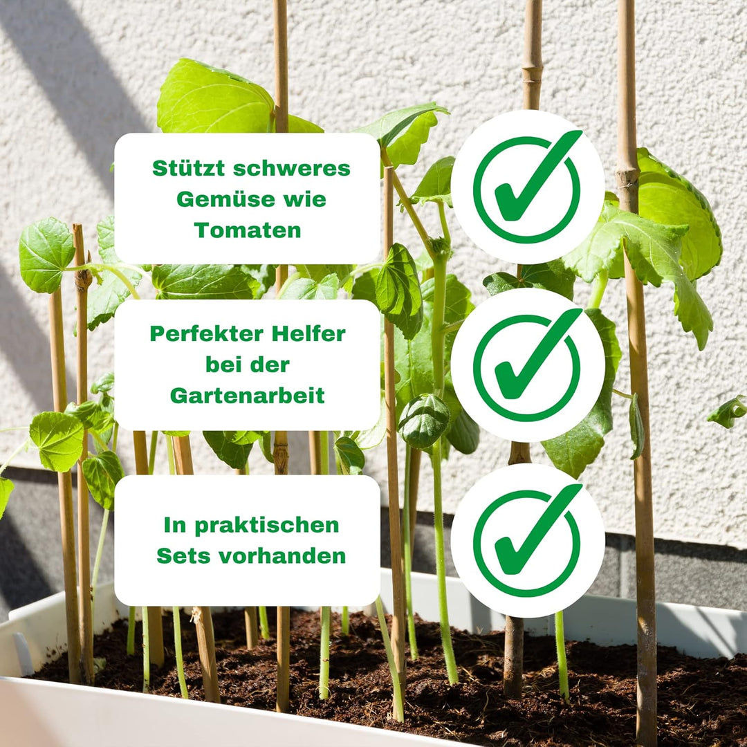 Novatool 20 Stück Tonkinstäbe 120 cm I ø 8-10 mm I Braun I Tonkinstab Rankstäbe Tomatenstäbe Ranksta