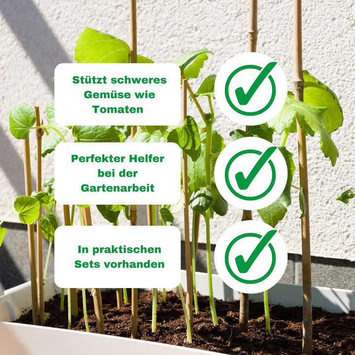 Novatool 20 Stück Tonkinstäbe 120 cm I ø 8-10 mm I Braun I Tonkinstab Rankstäbe Tomatenstäbe Ranksta