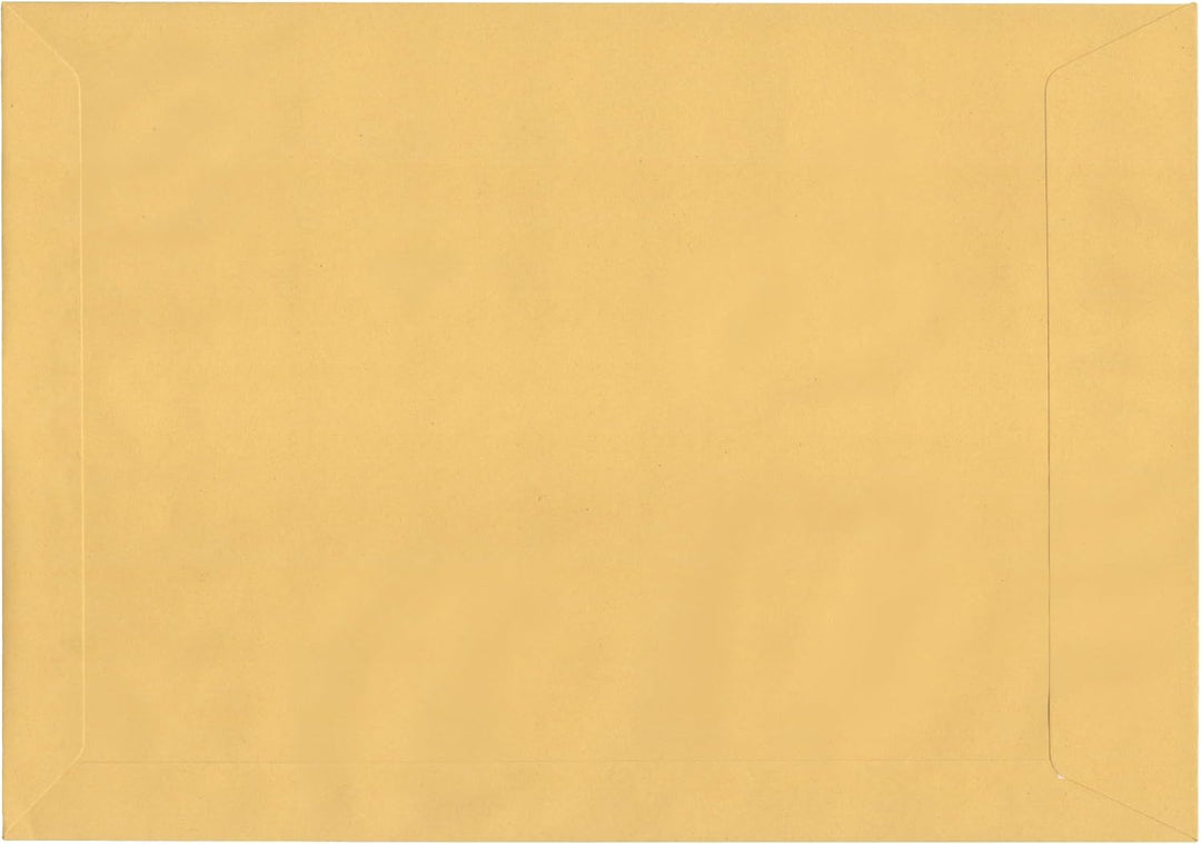 Postzustellungsumschläge C4 „ Förmliche Zustellung “ - Postzustellungshüllen C4 mit Fenster (229 x 3