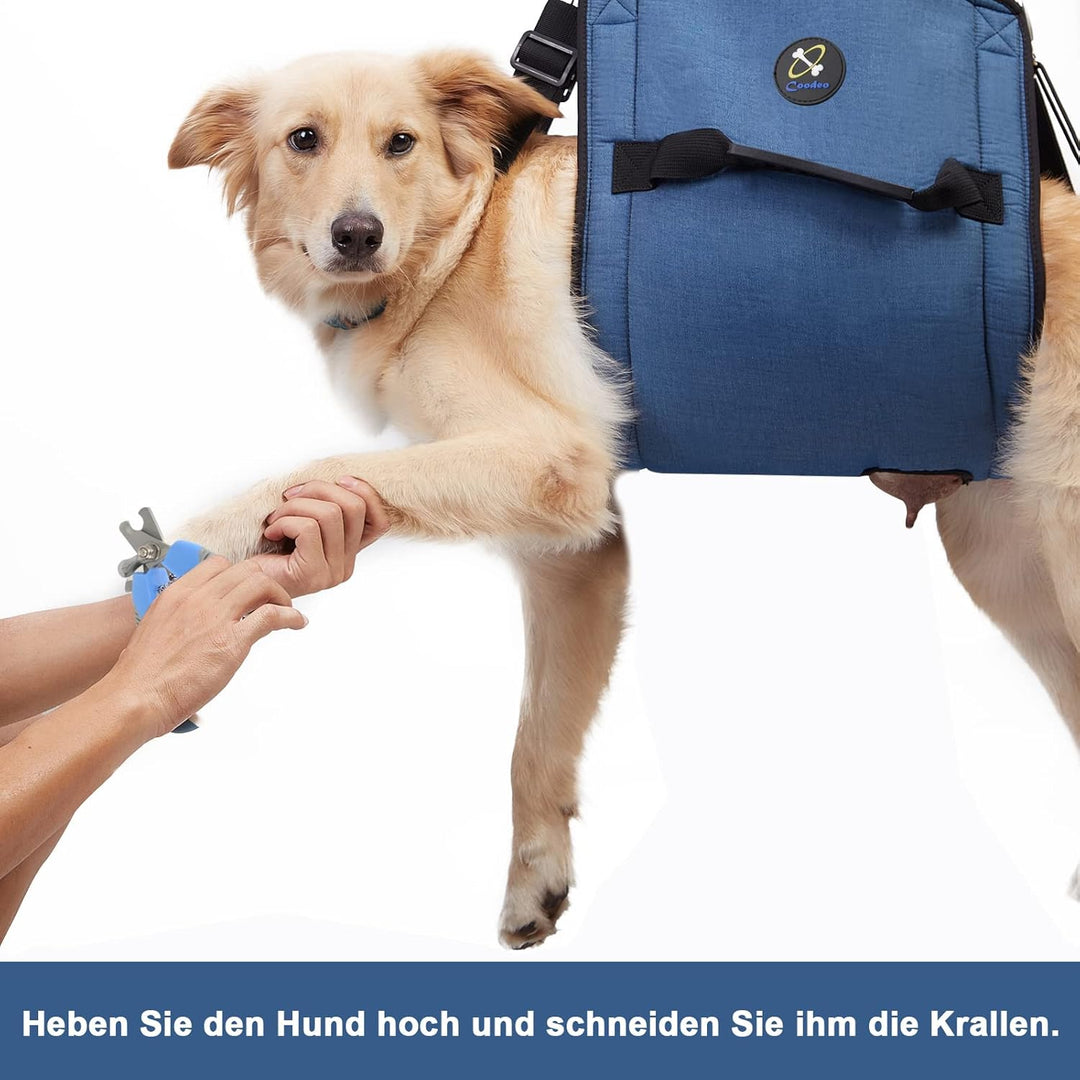 Coodeo Hundetragegurt, Notfallrucksack Haustierbeine Unterstützung & Rehabilitation Hundeliftgeschir