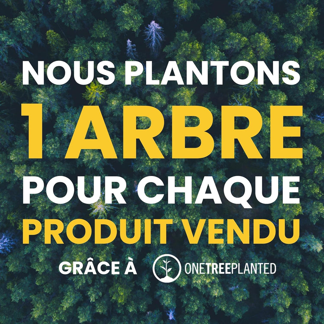 Carlos Diaz Echtes Leder gewachstes Premium-Polo-Hundehalsband mit Stickerei XS XS (28-36cm) Braun,