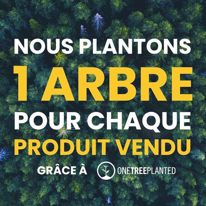 Carlos Diaz Echtes Leder gewachstes Premium-Polo-Hundehalsband mit Stickerei XS XS (28-36cm) Braun,