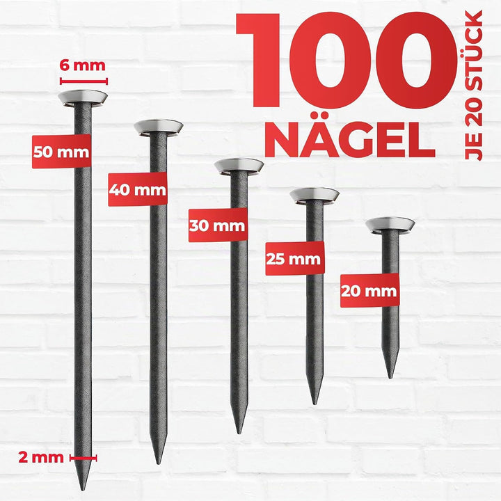RIKAMA® – 100 Bildernägel – Stahlnägel für den Einsatz auf Beton, Ziegelstein, Putz &amp; Holz – Nägel a