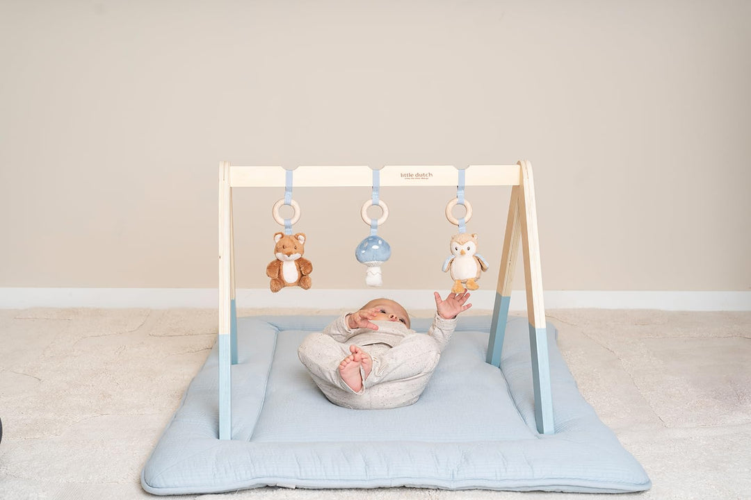 Little Dutch 8910 Holz Baby Gym Spieltrapez mit Stoff Anhängern - Forest Friends