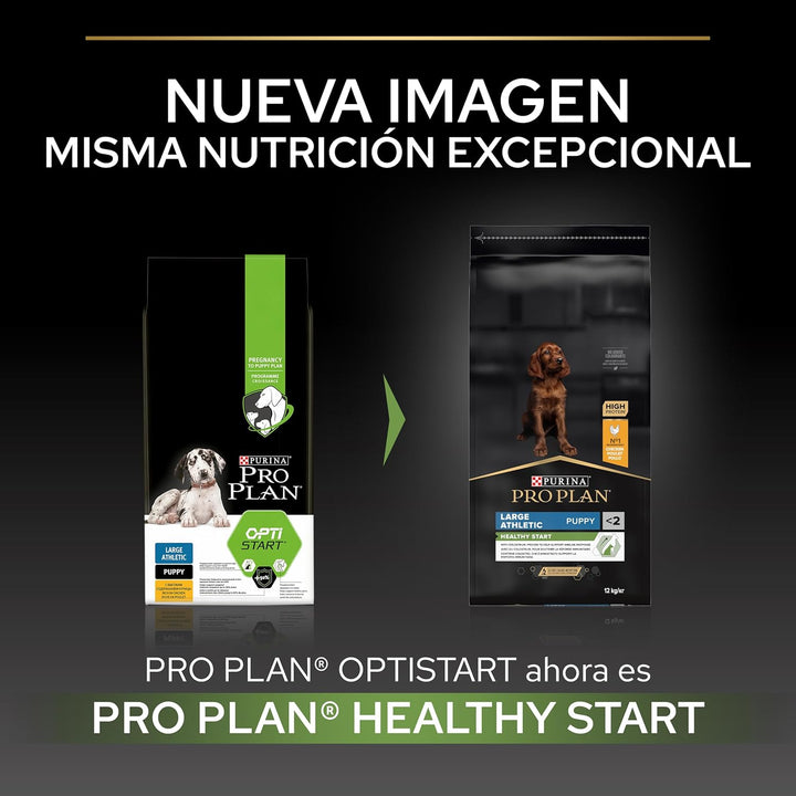 Pro Plan PURINA PRO PLAN Large Athletic Puppy Healthy Start, Welpenfutter trocken, reich an Huhn, 1e