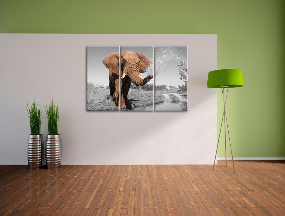 Pixxprint schöner Elefant spritzt mit Wasser als Leinwandbild/Grösse: 3 Teilig (120x80) cm/Wandbild/