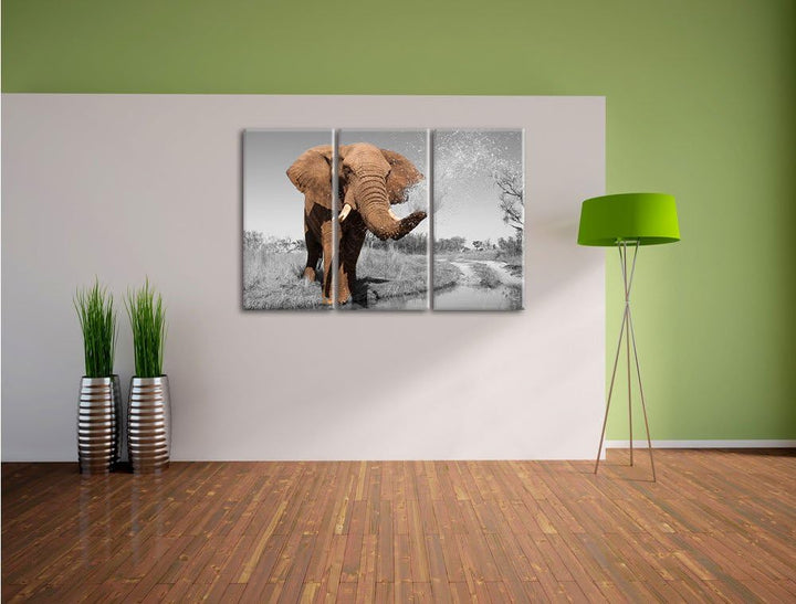 Pixxprint schöner Elefant spritzt mit Wasser als Leinwandbild/Grösse: 3 Teilig (120x80) cm/Wandbild/