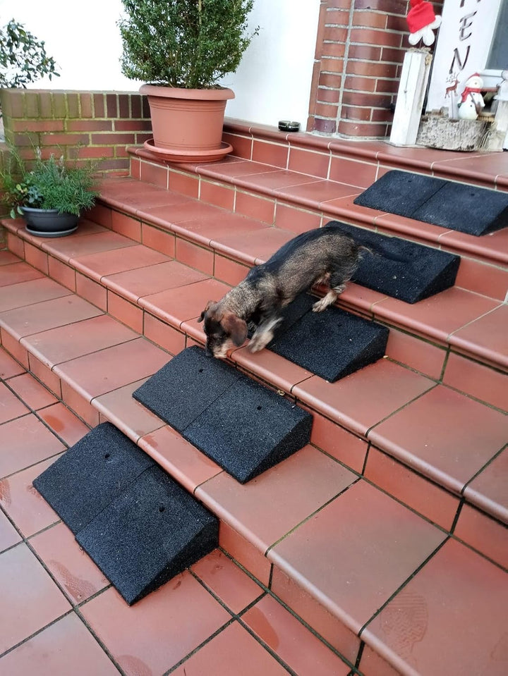 bepco Bordsteinkanten-Rampe-Set (2 Stück) 40-100 mm aus Gummifasern (schwarz) - Auffahrrampe - Türsc