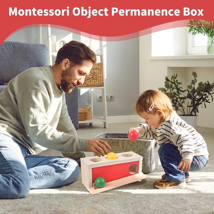 Montessori Spielzeug ab 1 Jahr, Baby Holzspielzeug ab 9 Monate, Objektpermanenz Box für Baby 12-18 M
