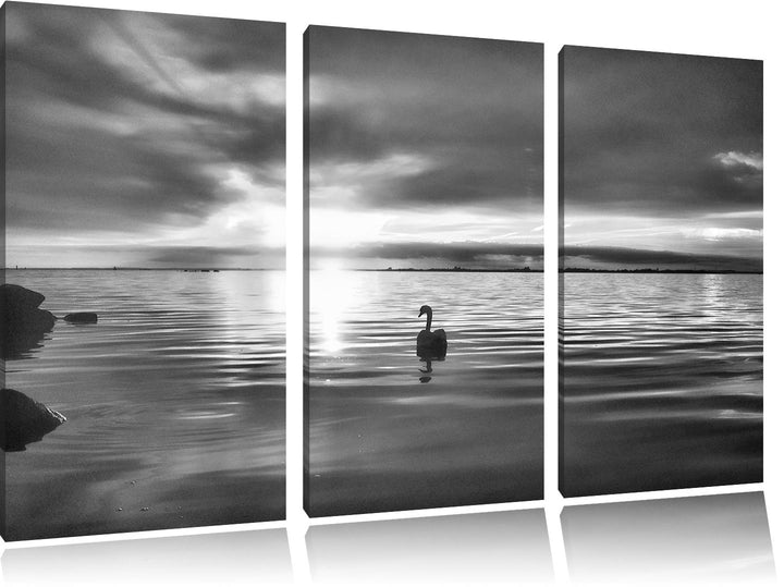 Pixxprint Einsamer Schwan auf See als Leinwandbild | Grösse: 3 Teilig (120x80) | Wandbild| Kunstdruc