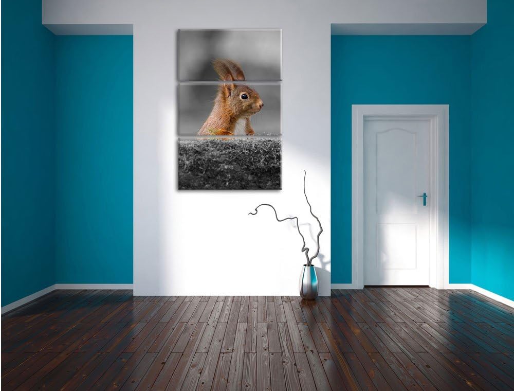 Pixxprint lustiges Eichhörchen hinter Baumstamm schwarz/weiss 3-Teiler Leinwandbild 120x80 Bild auf